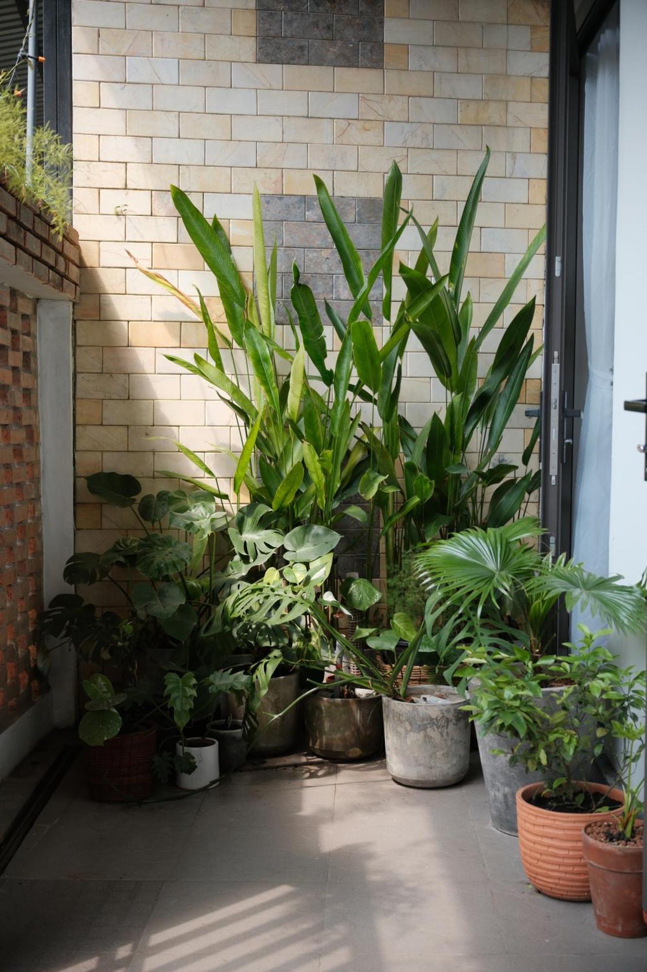 Glory Hue Homestay Екстер'єр фото