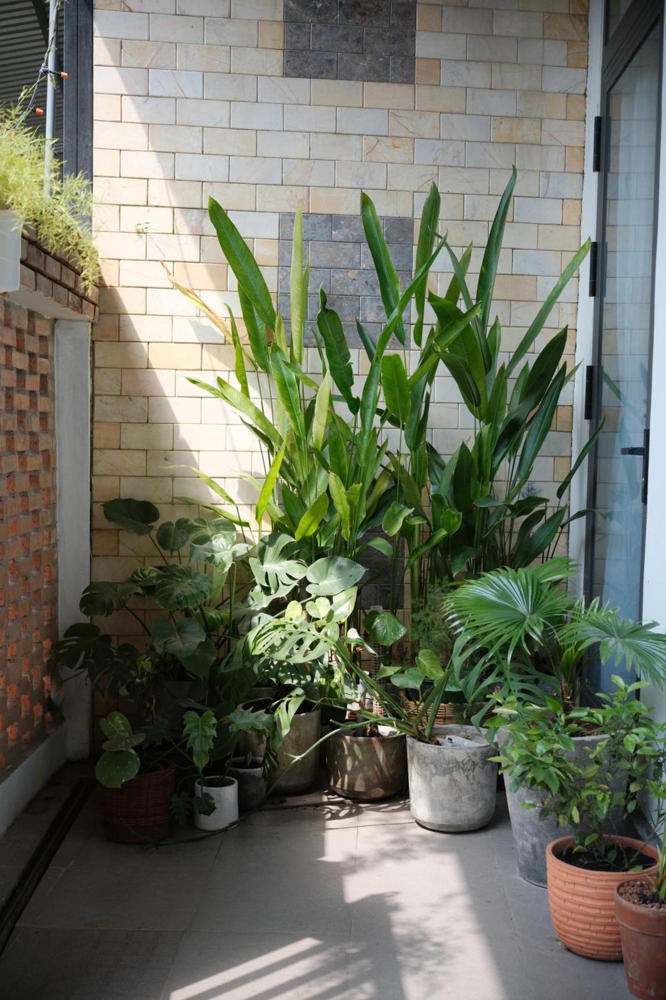 Glory Hue Homestay Екстер'єр фото