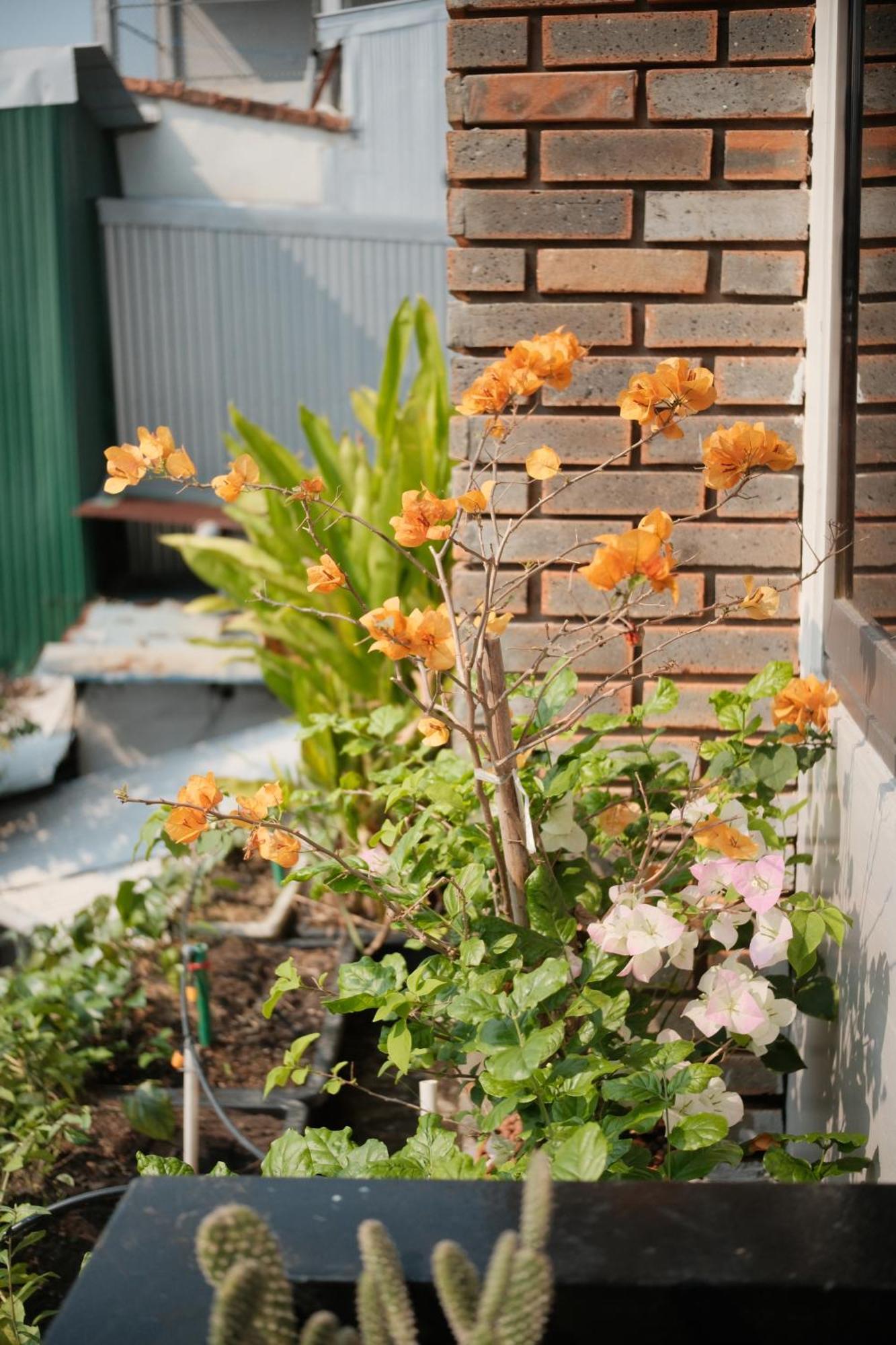 Glory Hue Homestay Екстер'єр фото